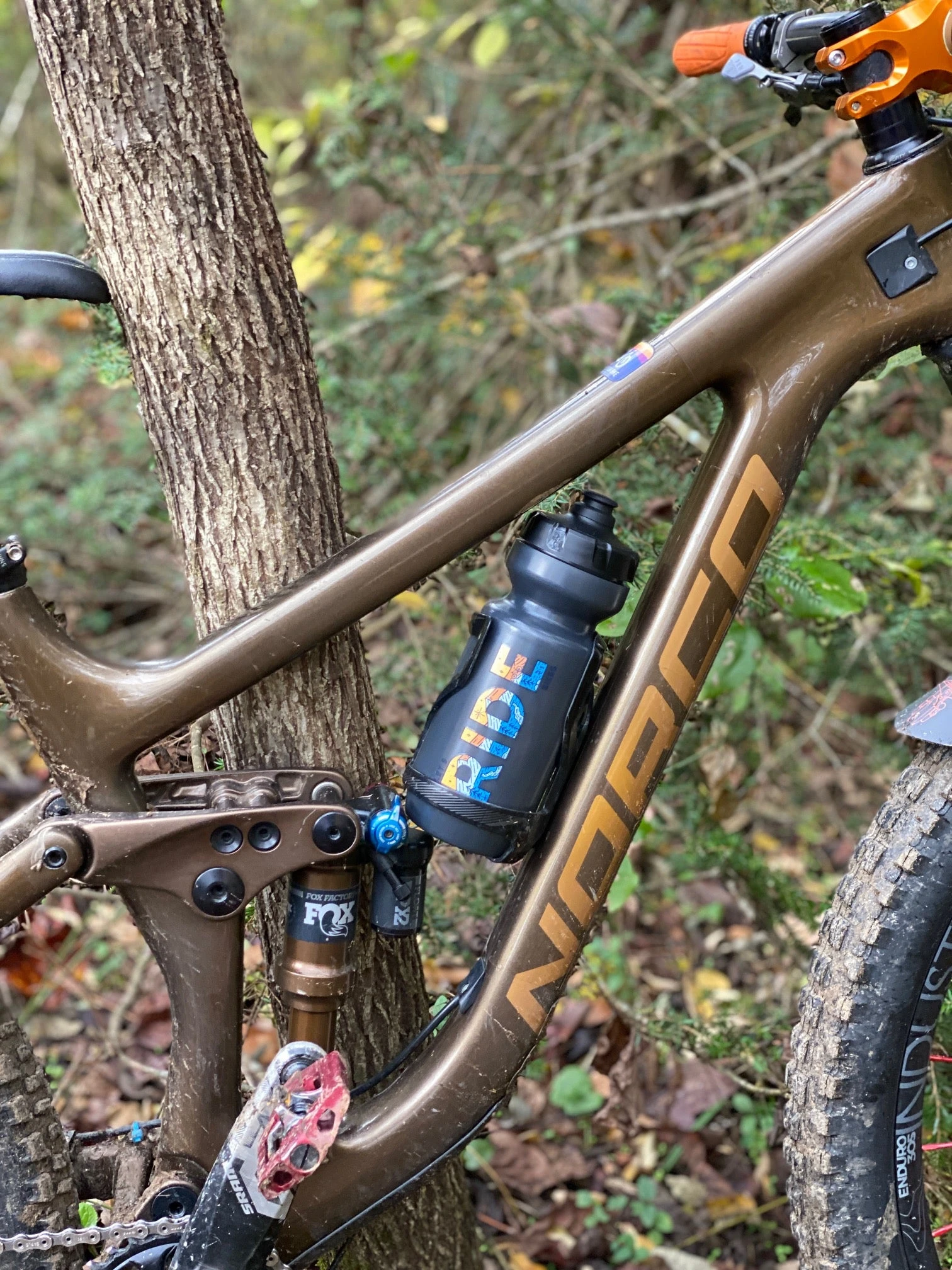 Specialized Let's Ride Bikes - Purist Mountain Bike Water Bottle 22oz (3 Color Options) 4 Specialized Let's Ride Bikes - Purist Mountain Bike Water Bottle 22oz (3 Color Options) - Image 4