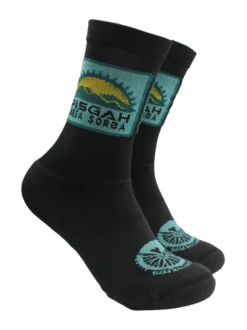 DeFeet Pisgah Area Sorba Tech Sock - (Padded)